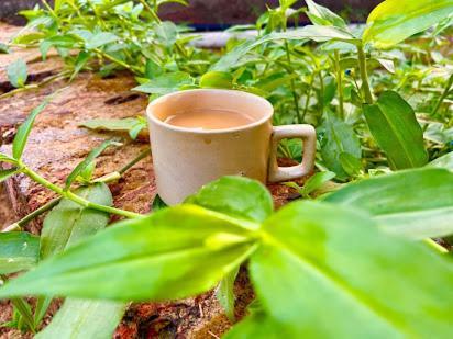 Samarth Atc-Beach Home Stay Ratnāgiri Eksteriør billede